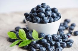 pärontorkade blåbär